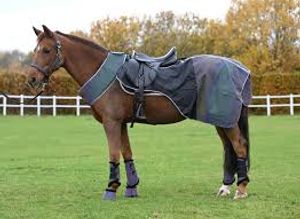 Hovedbilde Ridedekken Rainbow refleks