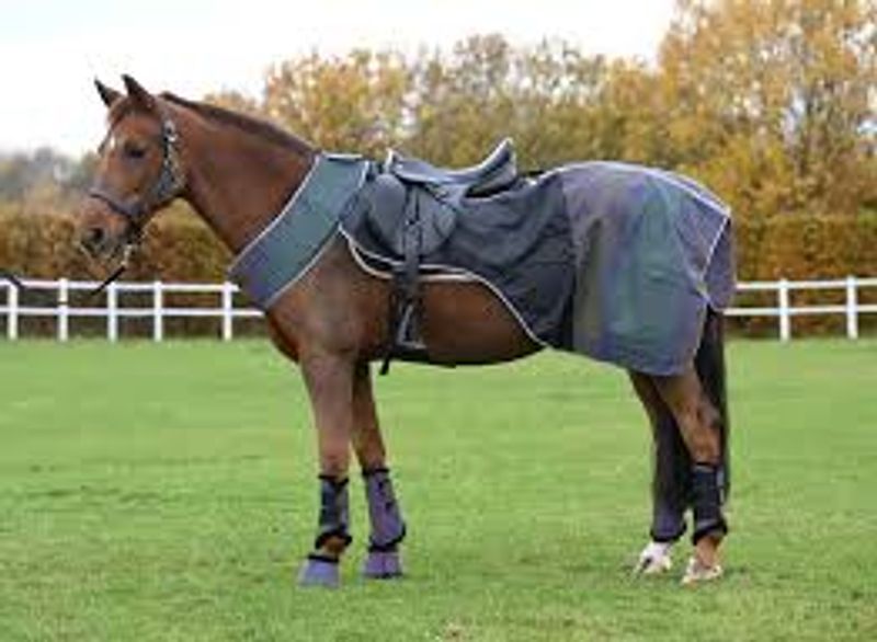 Ridedekken Rainbow refleks