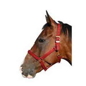 Hovedbilde Grime Soft R&oslash;d