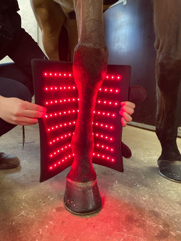 Riislund Light Therapy RED Pro 