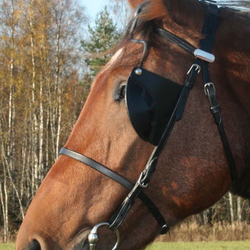 Half round blinds med kinnstropper