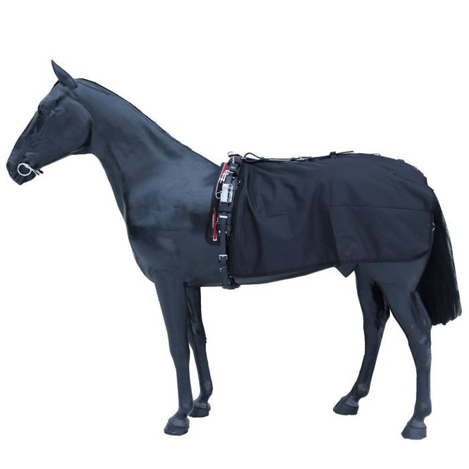 Hovedbilde Equitare Quarter sheet 100g, kjøredekken