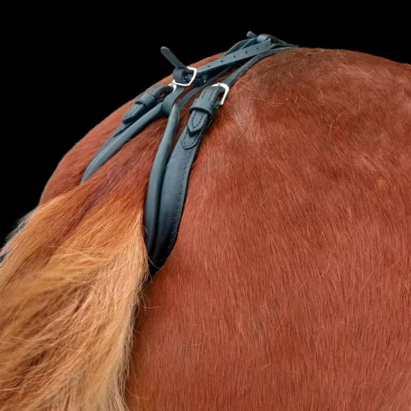 Hingstesusp