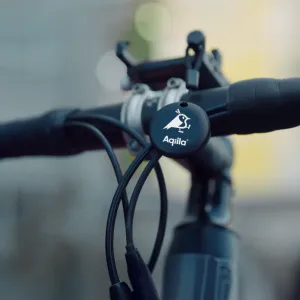 Hovedbilde Aqiila Tagbird