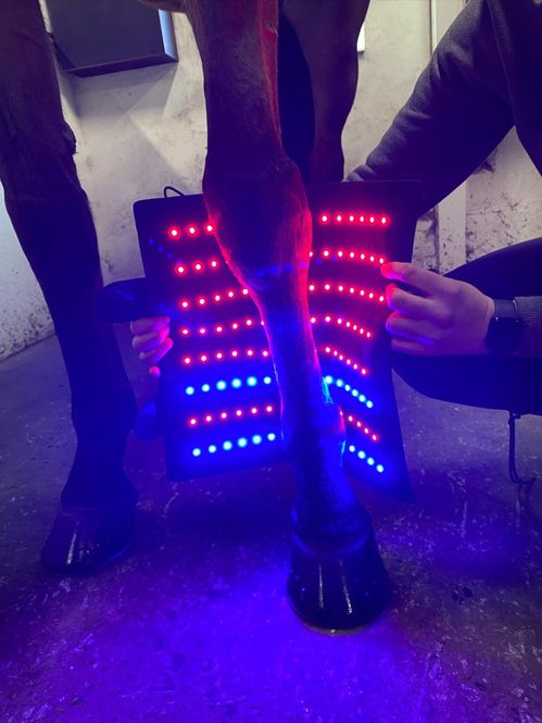 Hovedbilde Riislund Light Therapy MIX Pro 