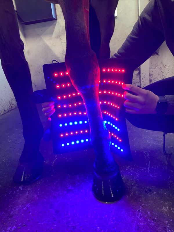 Riislund Light Therapy MIX Pro 
