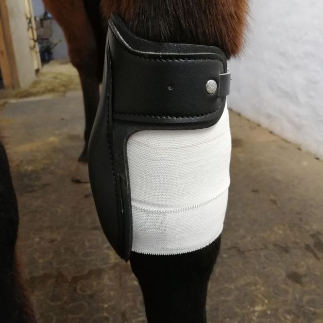 Hovedbilde Dr.Horse Knee tape