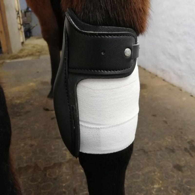Dr.Horse Knee tape